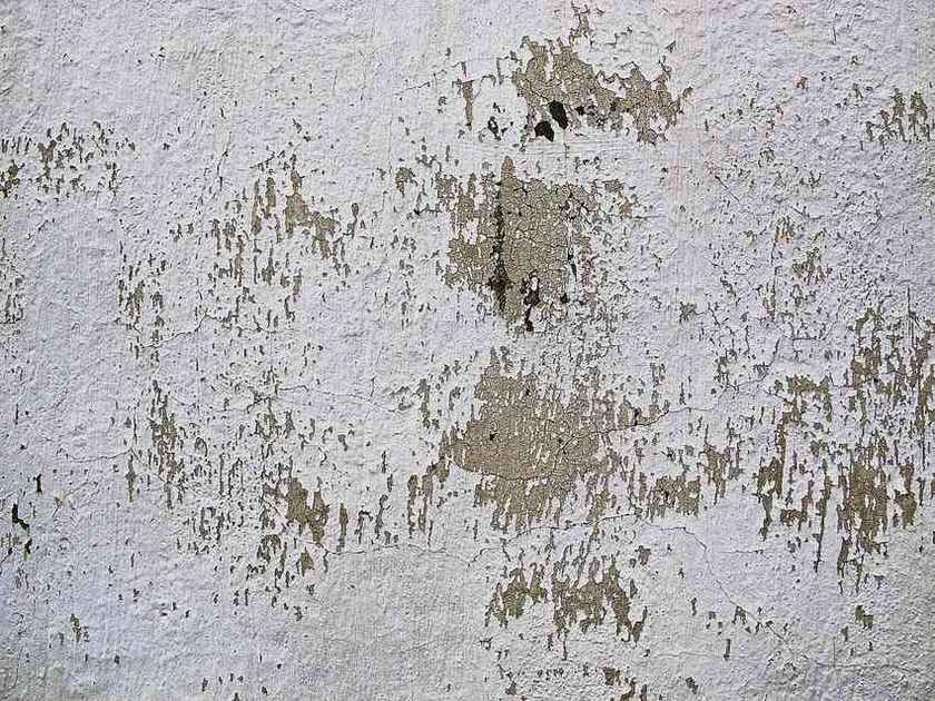 Peinture qui se décolle sur un mur d'un local ancien Peinture qui se décolle sur un mur d'un local ancien